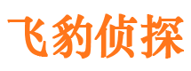 衡东市私家侦探